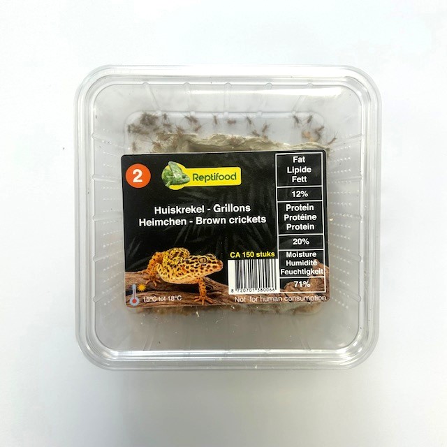 Huiskrekel maat 2 in doosje