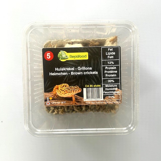 Huiskrekel maat 5 in doosje